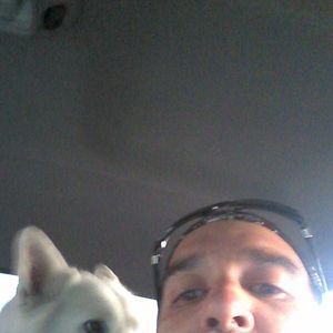 Meet your Posher, George